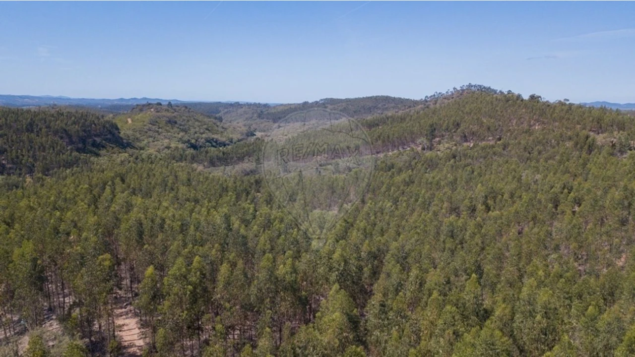 Quinta T0 para Venda em Reliquias Foto 27