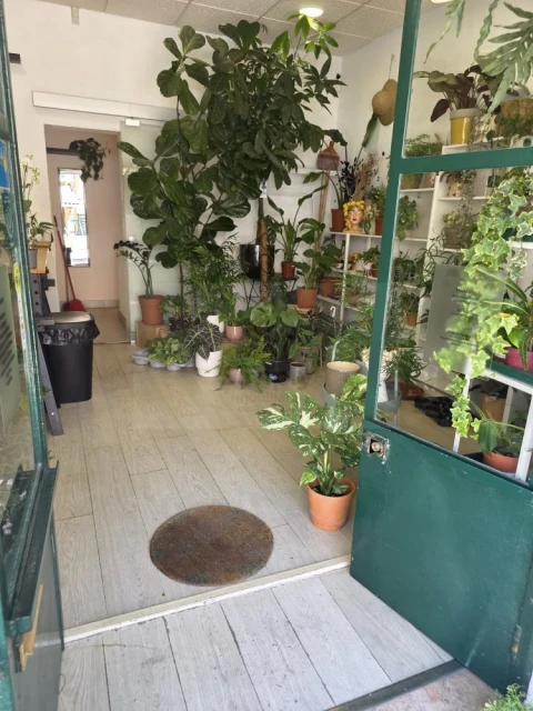 Loja para Venda em Ajuda