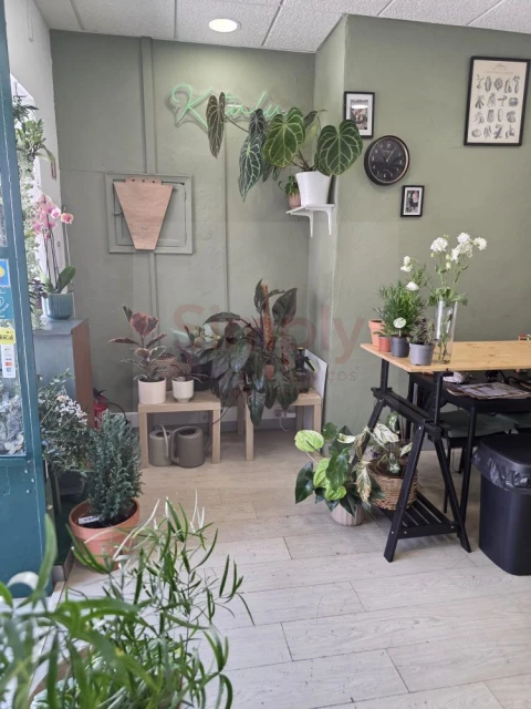 Loja para Venda em Ajuda