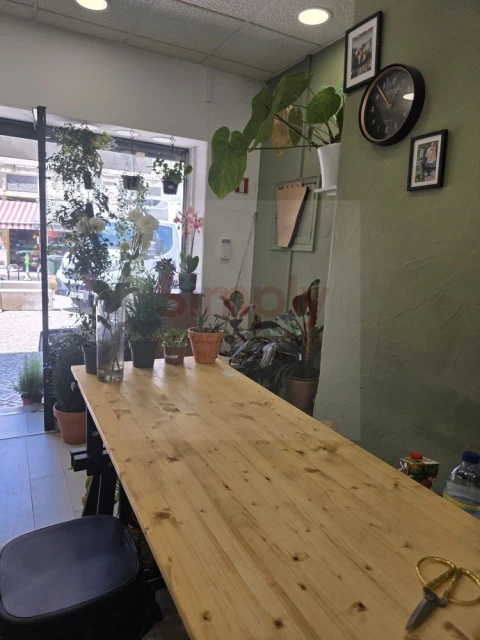 Loja para Venda em Ajuda