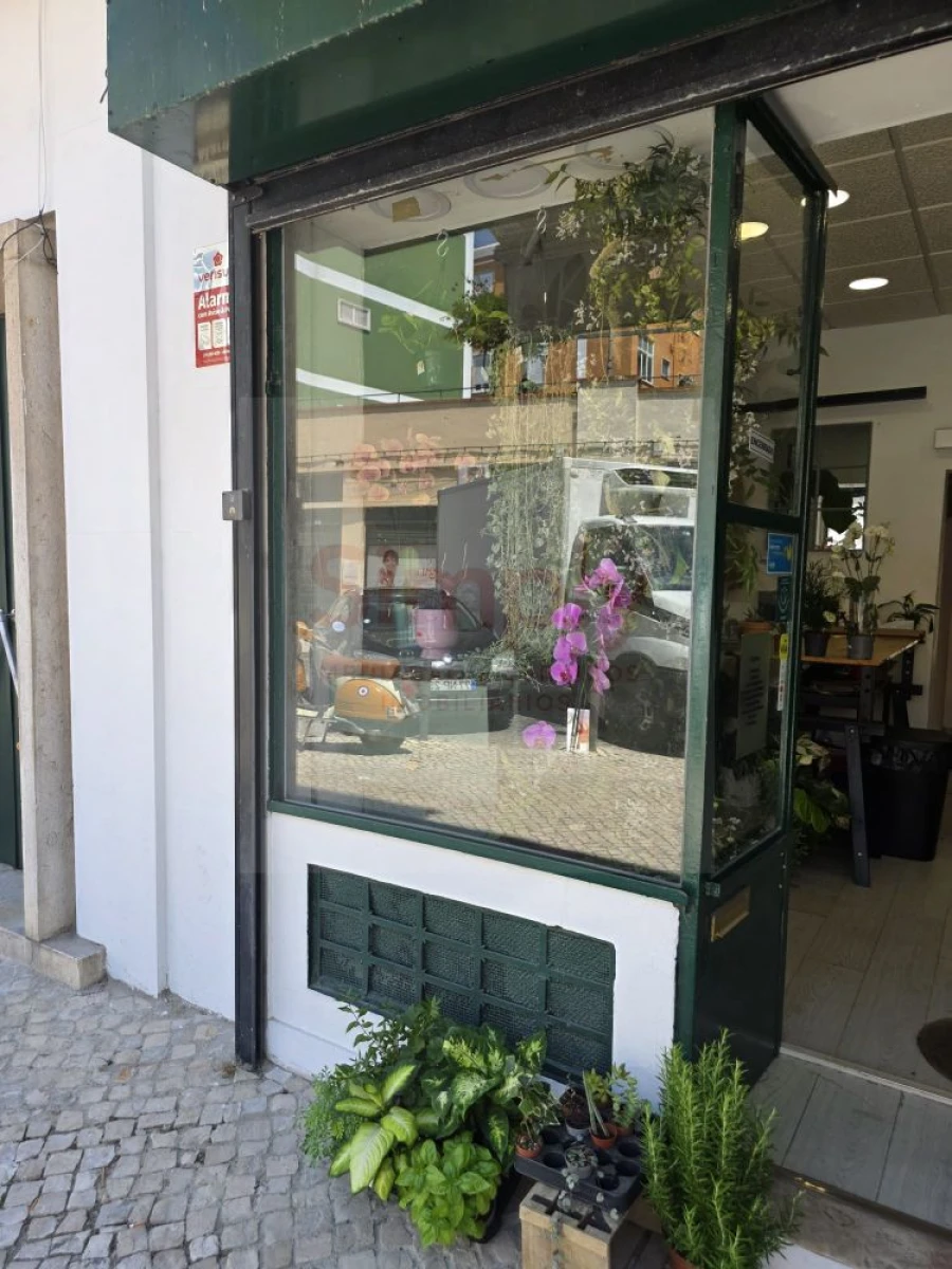 Loja para Venda em Ajuda Foto 21