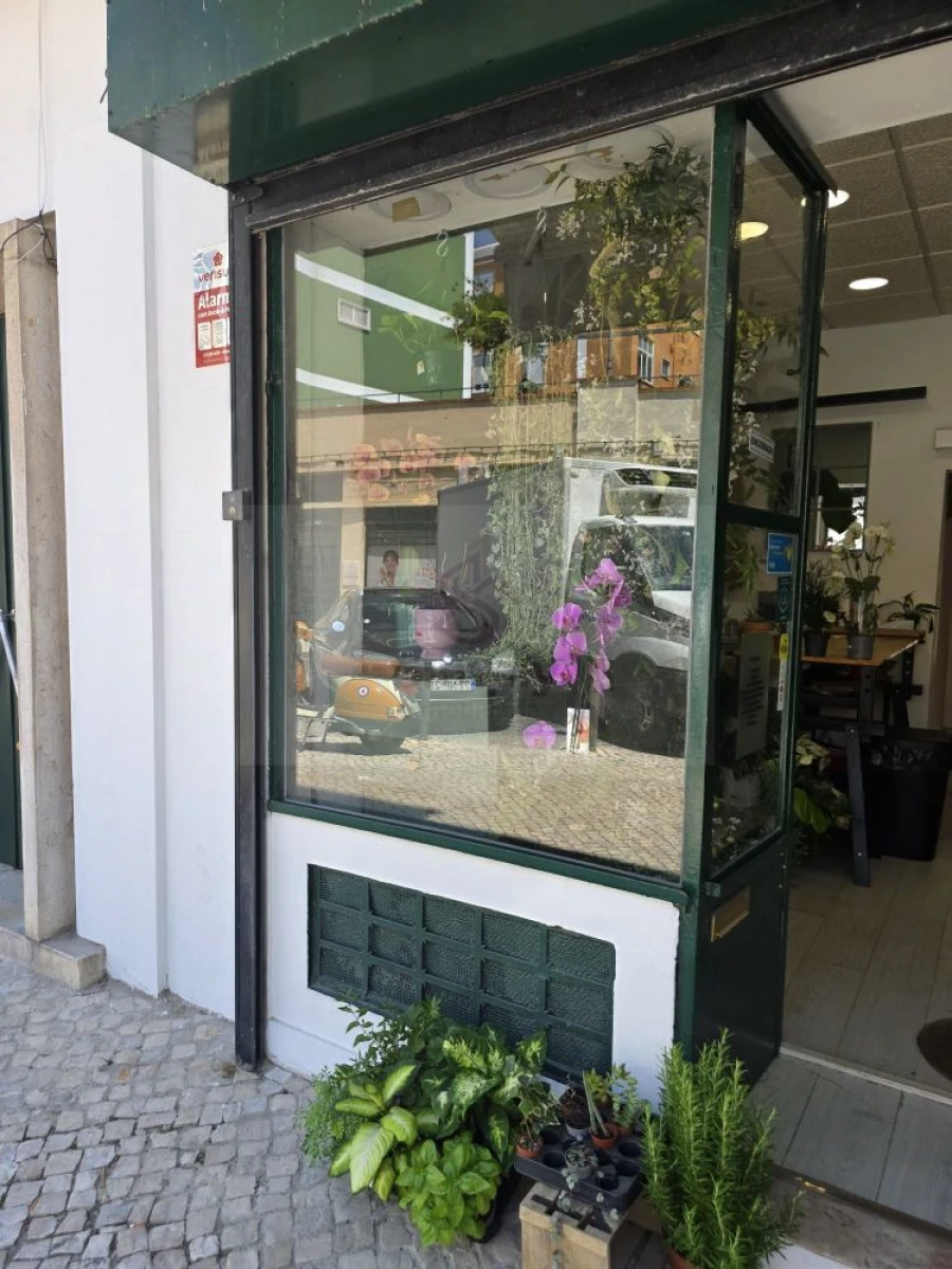 Loja para Venda em Ajuda Foto 21