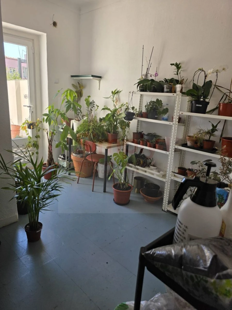 Loja para Venda em Ajuda Foto 8