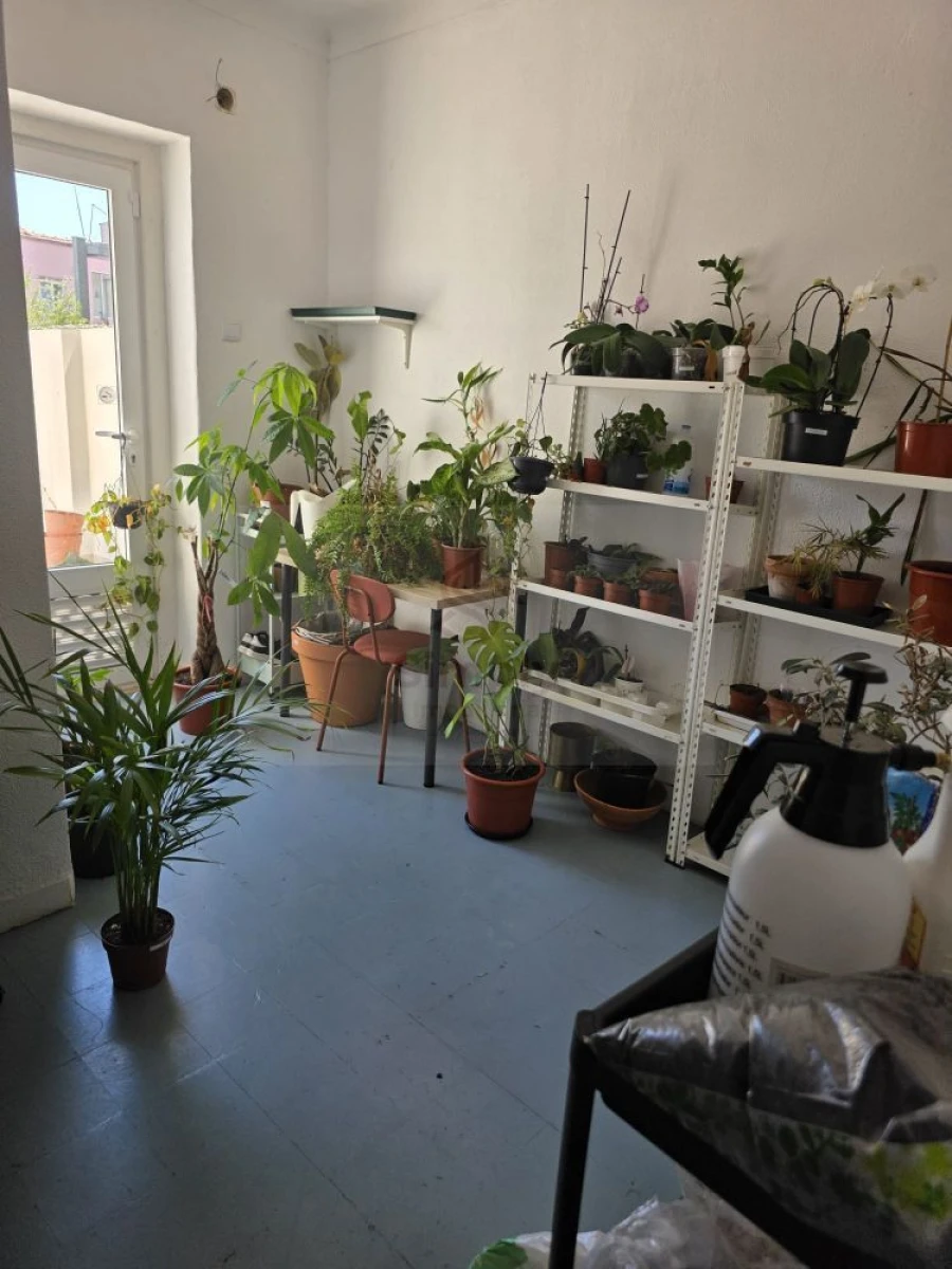 Loja para Venda em Ajuda Foto 9
