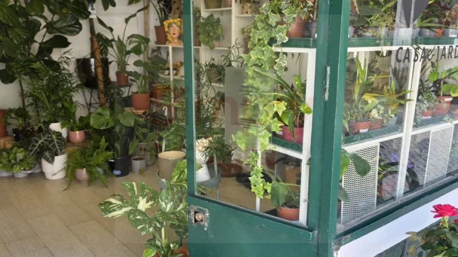 Loja para Venda em Ajuda