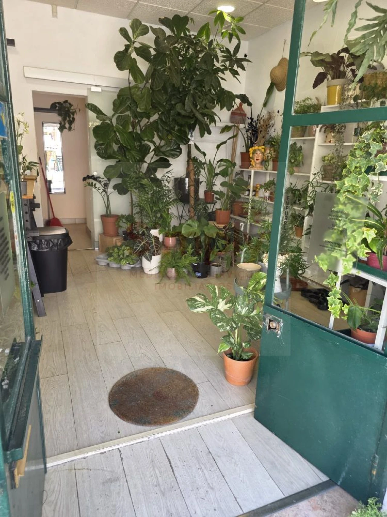 Loja para Venda em Ajuda Foto 19