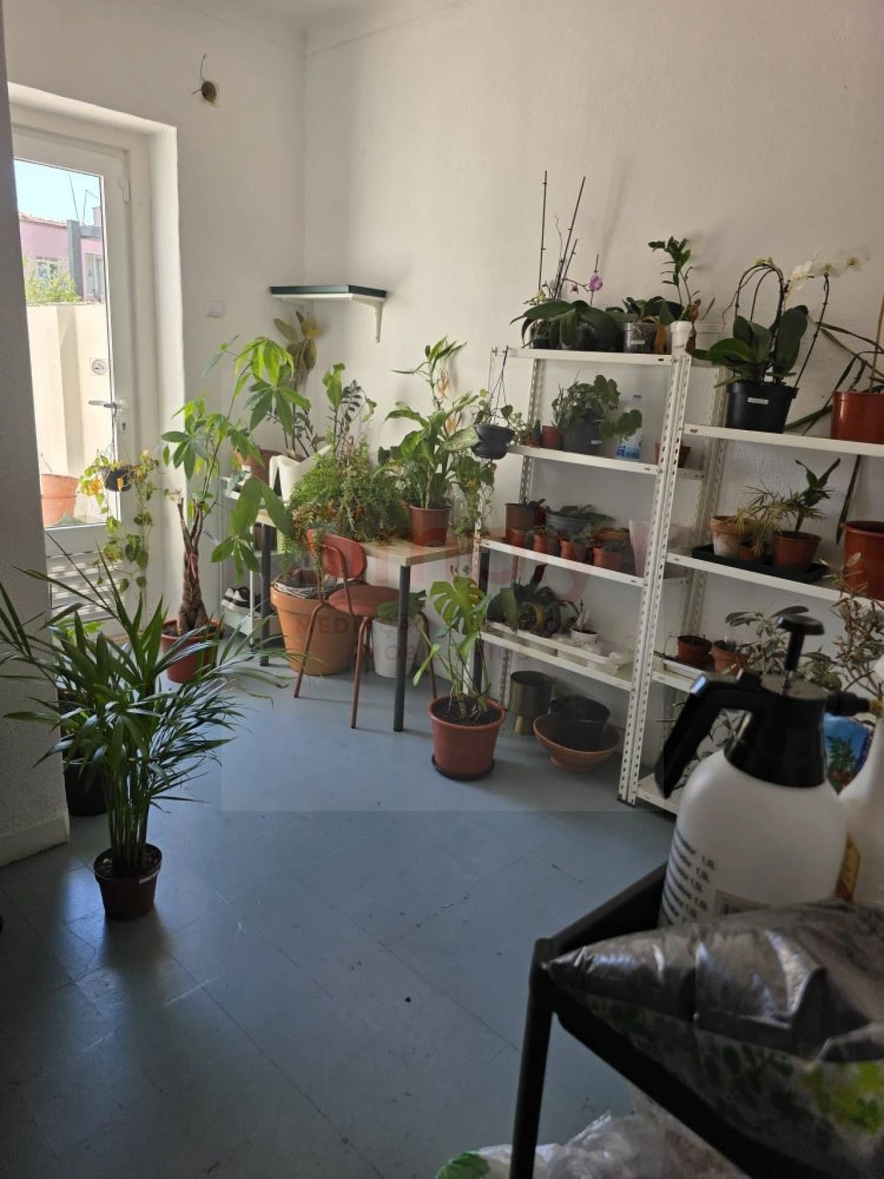 Loja para Venda em Ajuda Foto 8