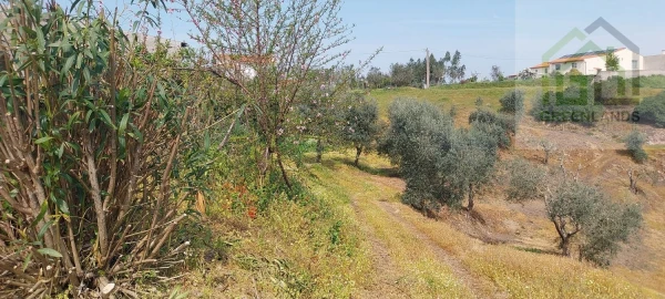 Moradia T4 para Venda em Pombeiro da Beira