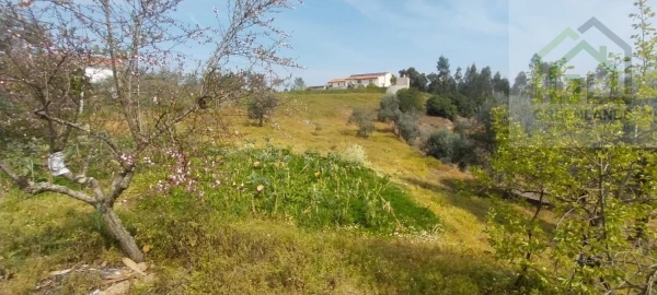 Moradia T4 para Venda em Pombeiro da Beira