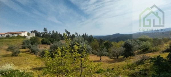 Moradia T4 para Venda em Pombeiro da Beira