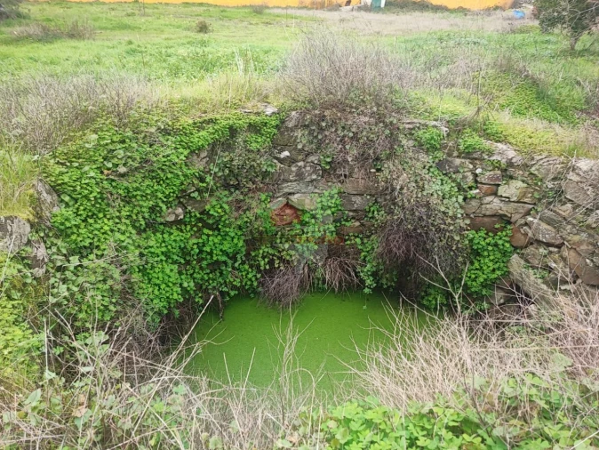 Quinta para Venda em Fratel Foto 9