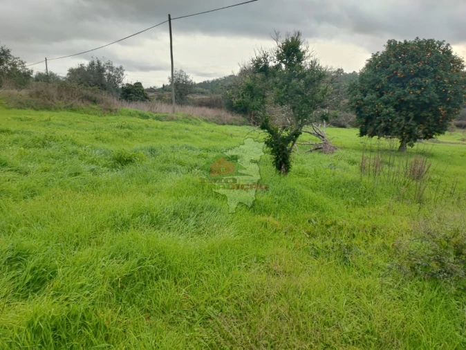 Quinta para Venda em Fratel Foto 3