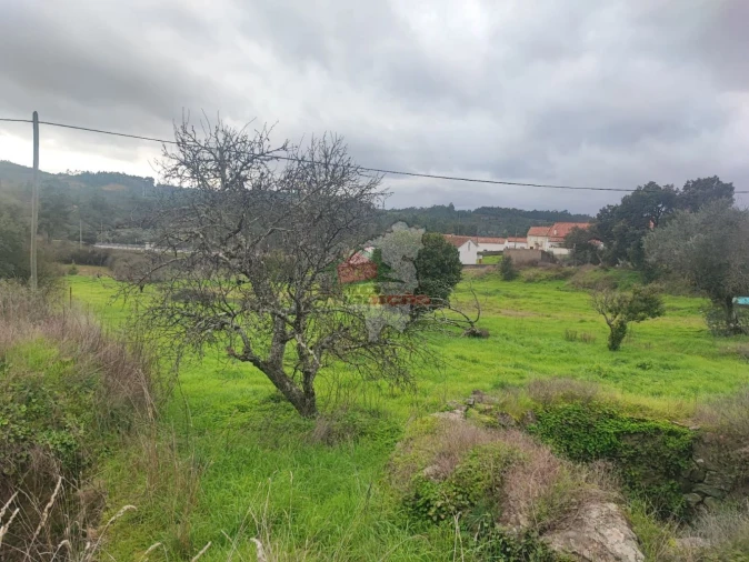 Quinta para Venda em Fratel Foto 7