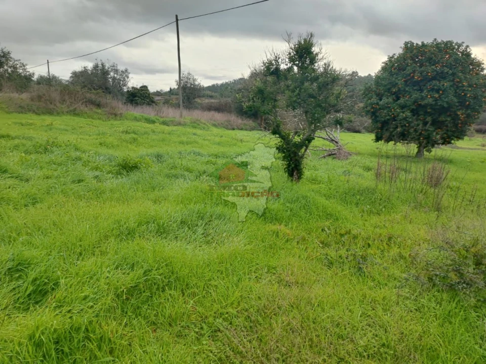 Quinta para Venda em Fratel Foto 3