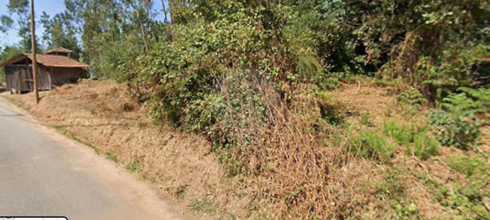 Terreno para Venda em São Miguel do Souto e Mosteirô Foto 2