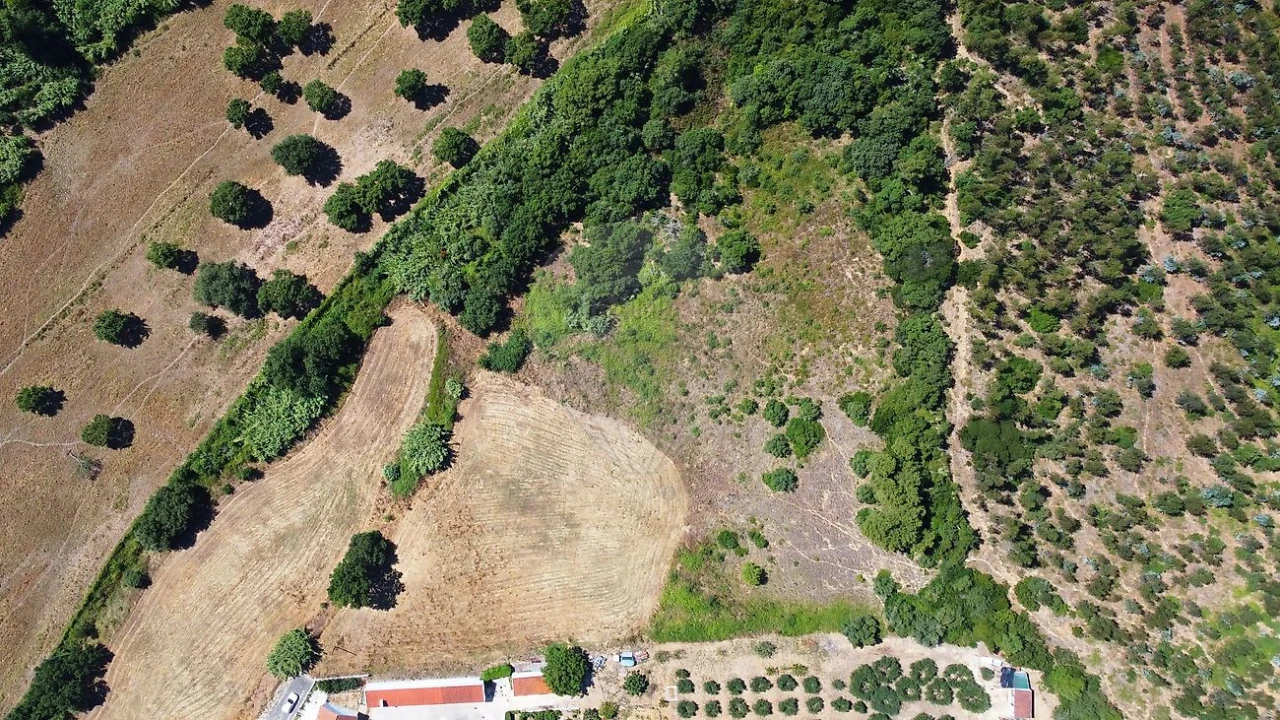 Terreno para Venda em Abrigada e Cabanas de Torres Foto 3