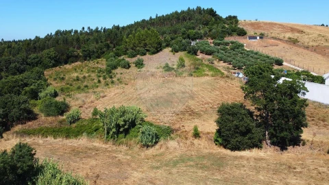 Terreno para Venda em Abrigada e Cabanas de Torres