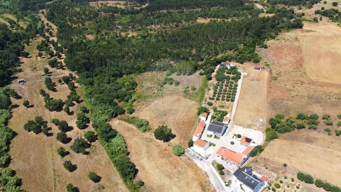 Terreno para Venda em Abrigada e Cabanas de Torres