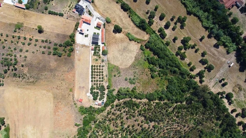 Terreno para Venda em Abrigada e Cabanas de Torres
