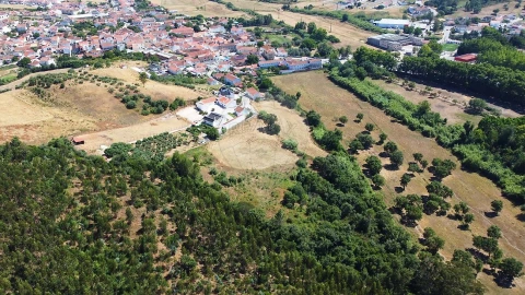 Terreno para Venda em Abrigada e Cabanas de Torres
