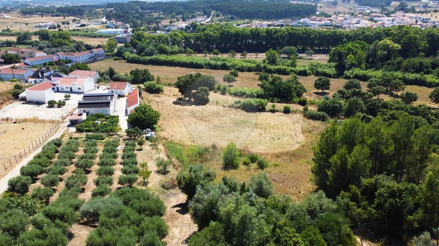 Terreno para Venda em Abrigada e Cabanas de Torres Foto 13