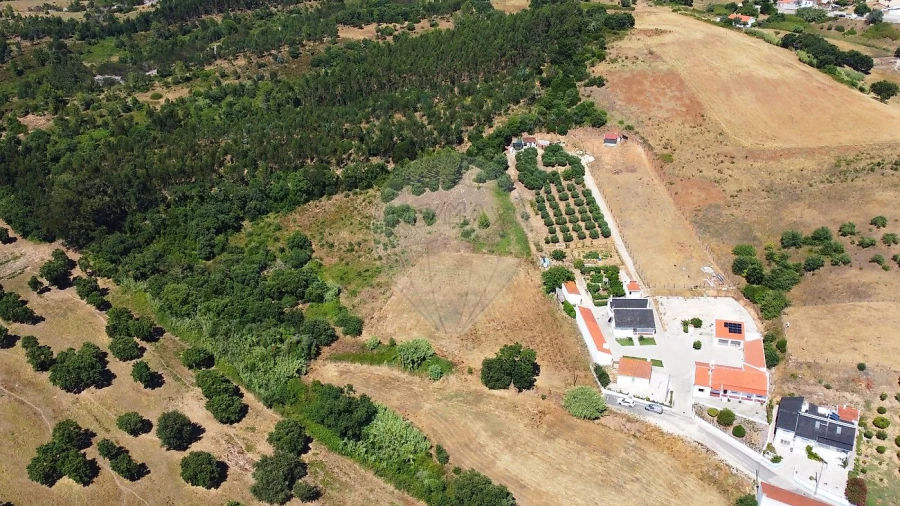 Terreno para Venda em Abrigada e Cabanas de Torres Foto 8