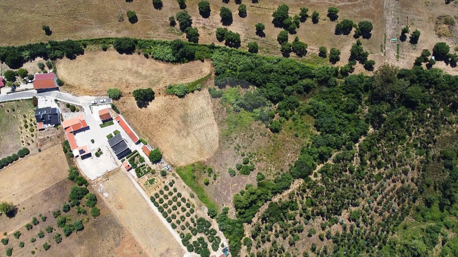 Terreno para Venda em Abrigada e Cabanas de Torres Foto 20