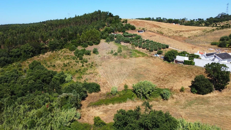 Terreno para Venda em Abrigada e Cabanas de Torres Foto 16