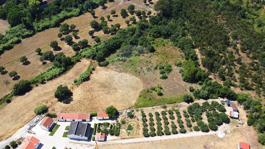 Terreno para Venda em Abrigada e Cabanas de Torres Foto 2