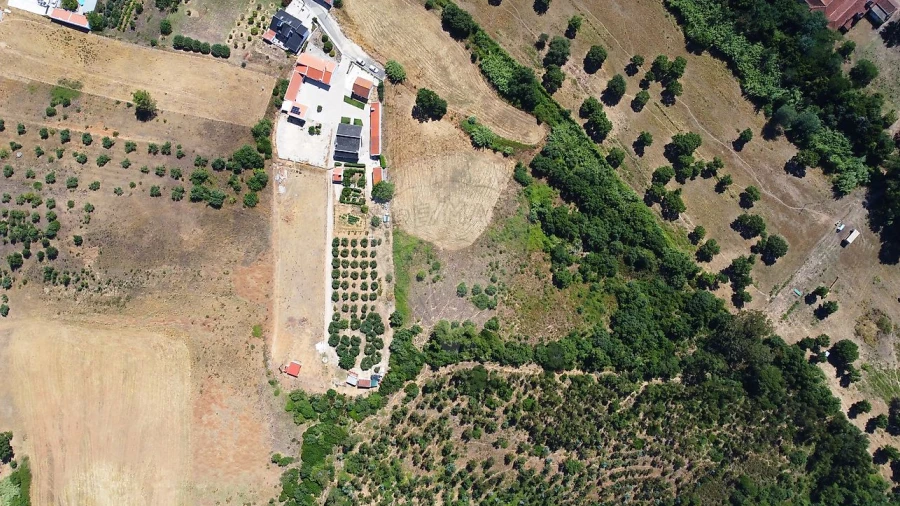 Terreno para Venda em Abrigada e Cabanas de Torres