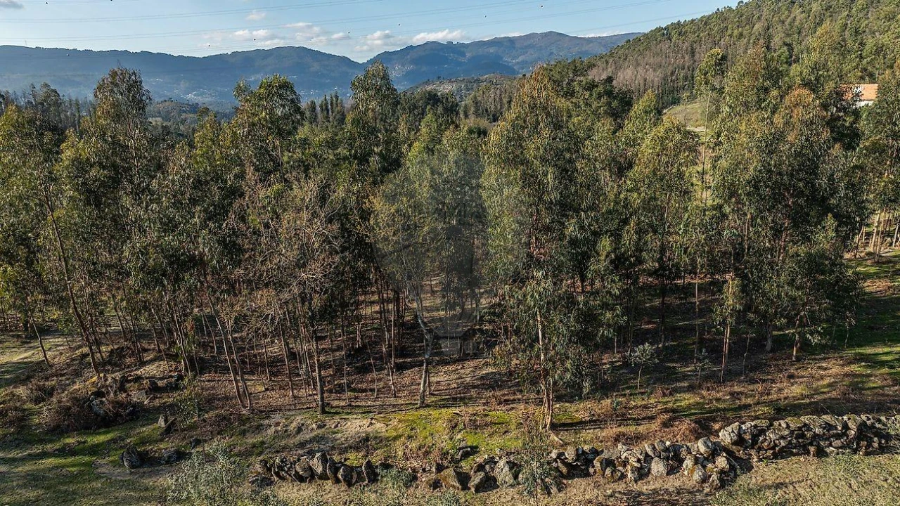 Moradia T1 para Venda em São João de Rei Foto 10