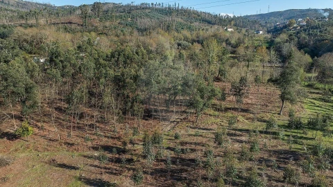 Moradia T1 para Venda em São João de Rei