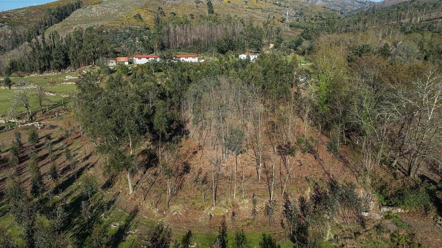 Moradia T1 para Venda em São João de Rei Foto 22