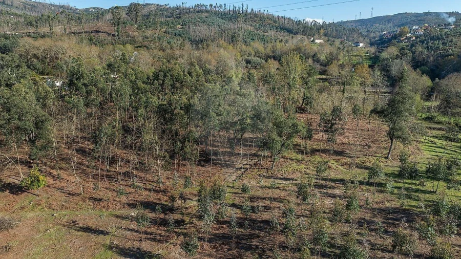 Moradia T1 para Venda em São João de Rei Foto 8