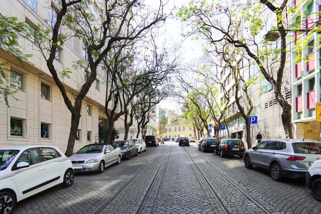 Apartamento T3 para Venda em Santo António Foto 54