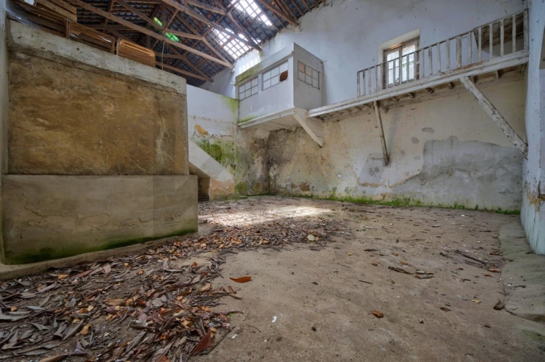 Quinta T5 para Venda em Nossa Senhora do Pópulo, Coto e São Gregório Foto 62