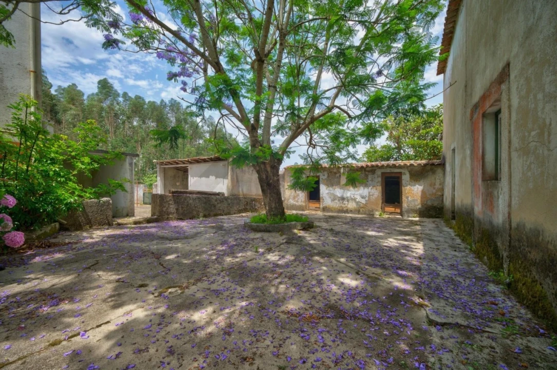 Quinta T5 para Venda em Nossa Senhora do Pópulo, Coto e São Gregório Foto 66