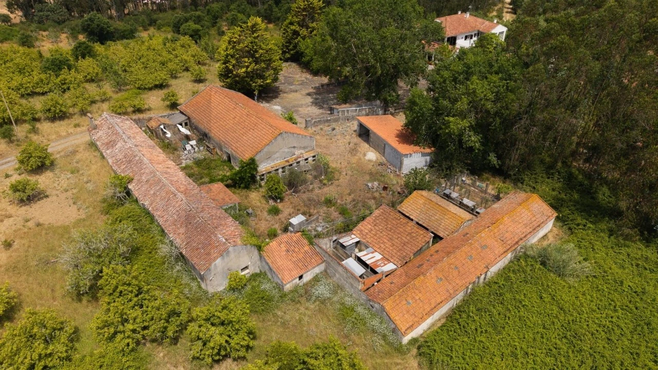 Quinta T5 para Venda em Nossa Senhora do Pópulo, Coto e São Gregório Foto 84