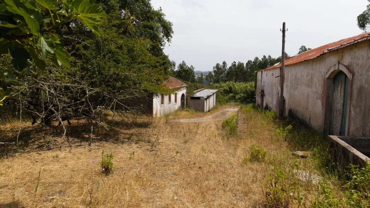 Quinta T5 para Venda em Nossa Senhora do Pópulo, Coto e São Gregório Foto 98