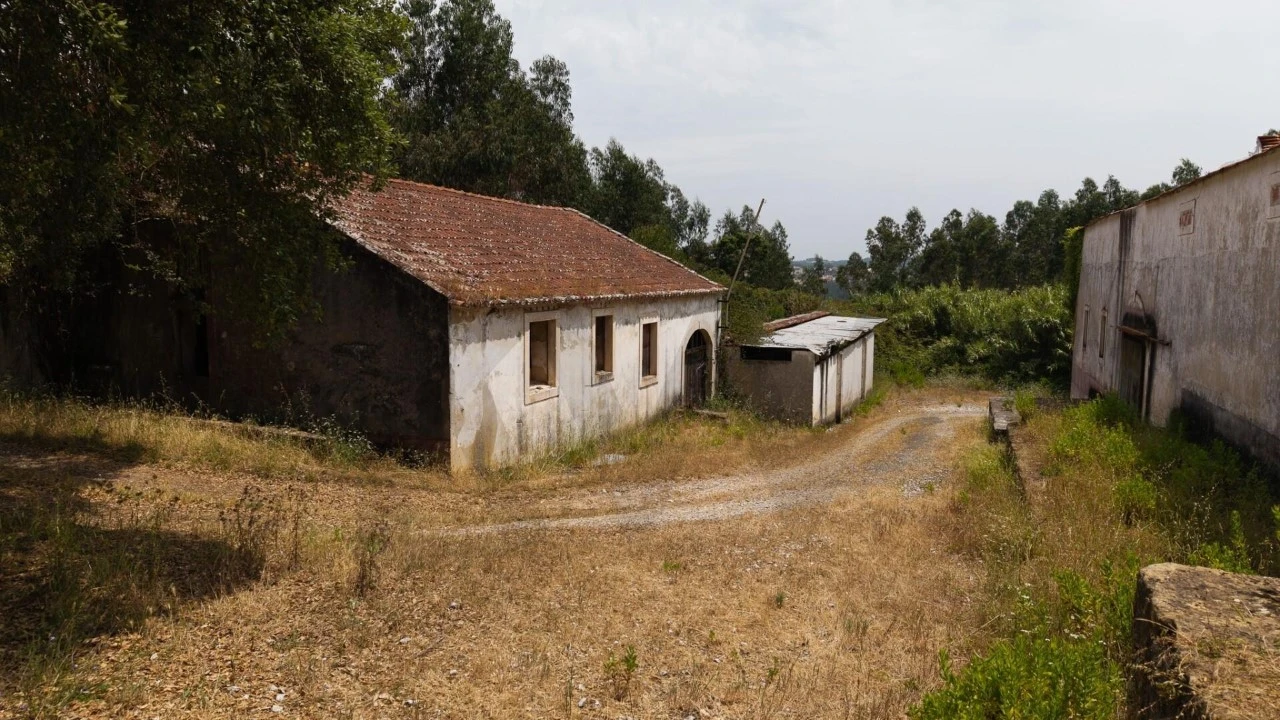 Quinta T5 para Venda em Nossa Senhora do Pópulo, Coto e São Gregório Foto 99