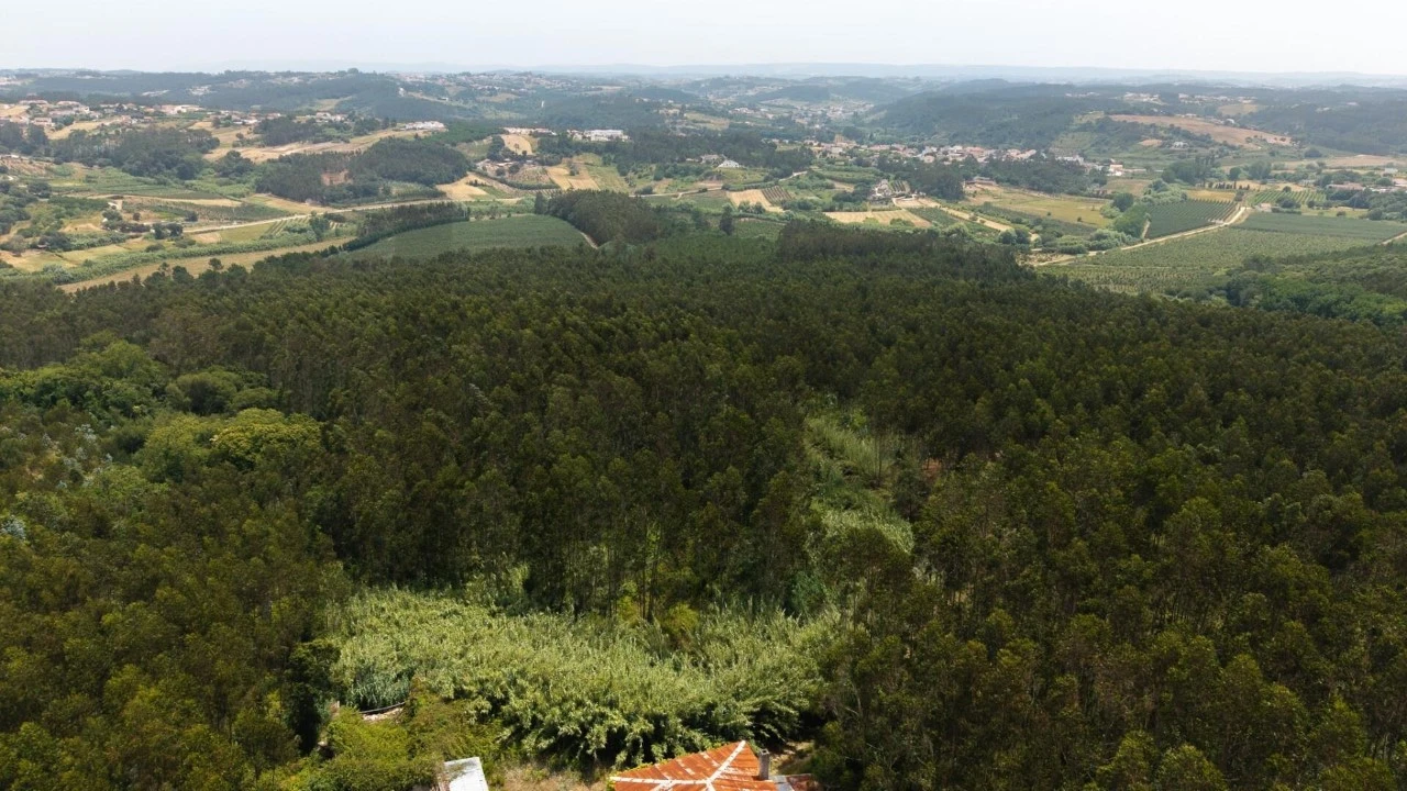 Quinta T5 para Venda em Nossa Senhora do Pópulo, Coto e São Gregório Foto 102