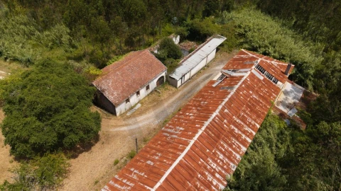 Quinta T5 para Venda em Nossa Senhora do Pópulo, Coto e São Gregório