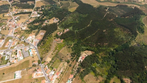 Quinta T5 para Venda em Nossa Senhora do Pópulo, Coto e São Gregório