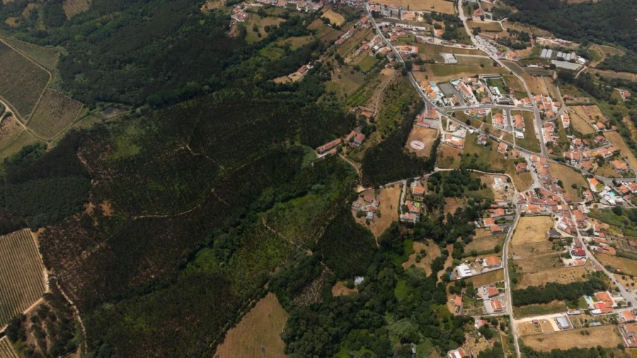 Quinta T5 para Venda em Nossa Senhora do Pópulo, Coto e São Gregório Foto 76
