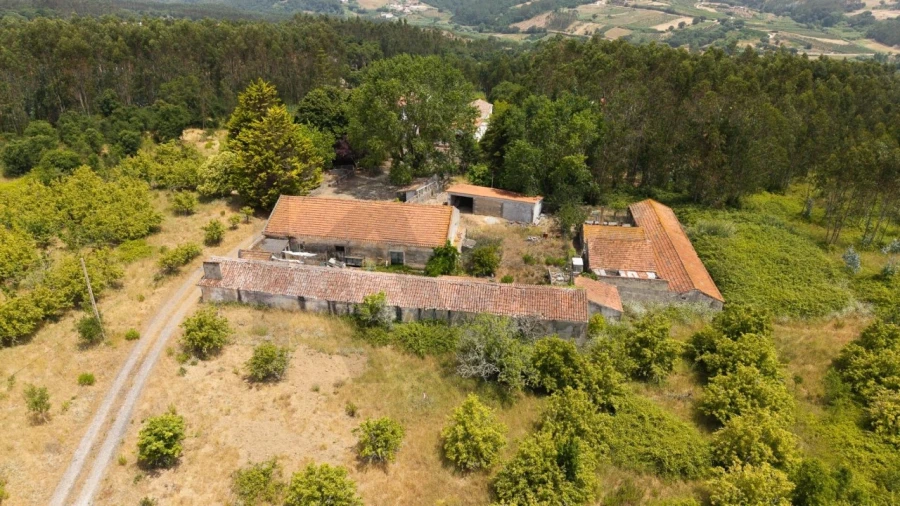 Quinta T5 para Venda em Nossa Senhora do Pópulo, Coto e São Gregório Foto 83