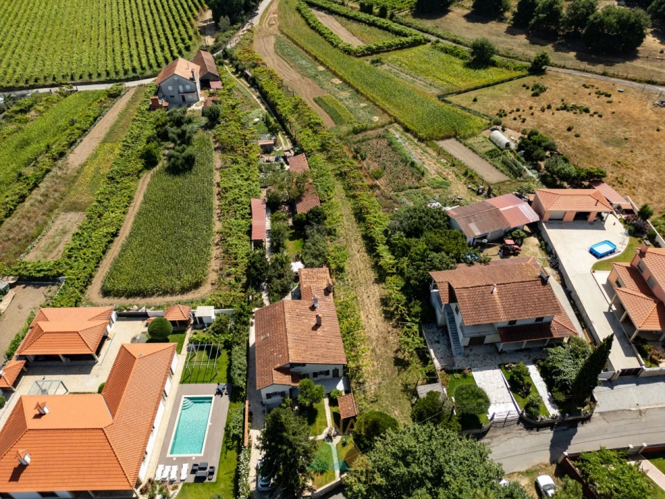 Terreno para Venda em Vitorino das Donas Foto 8