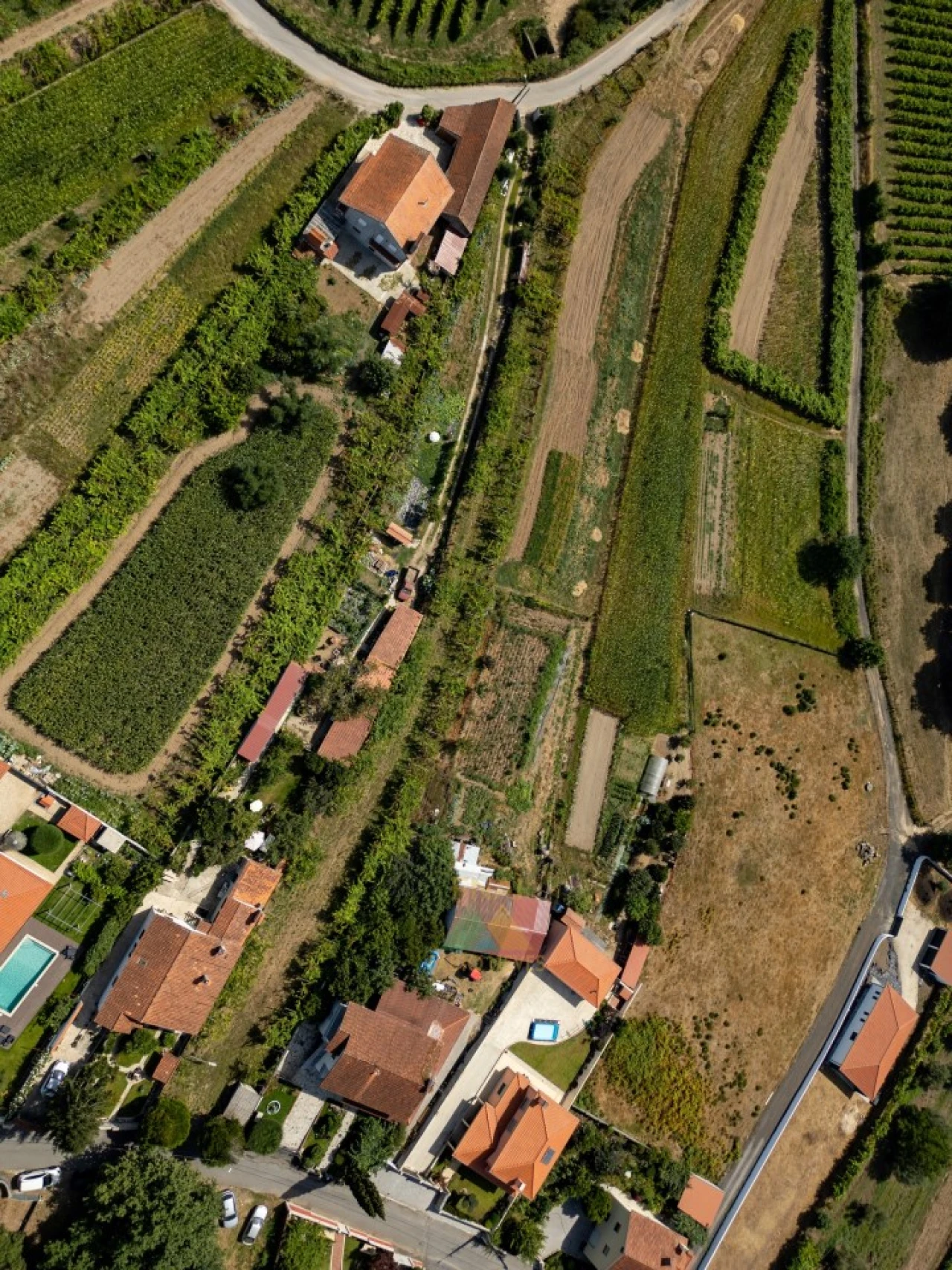 Terreno para Venda em Vitorino das Donas Foto 12
