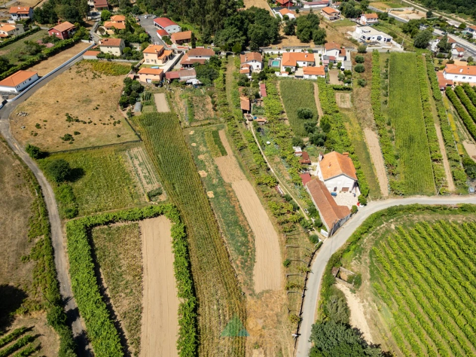 Terreno para Venda em Vitorino das Donas Foto 13