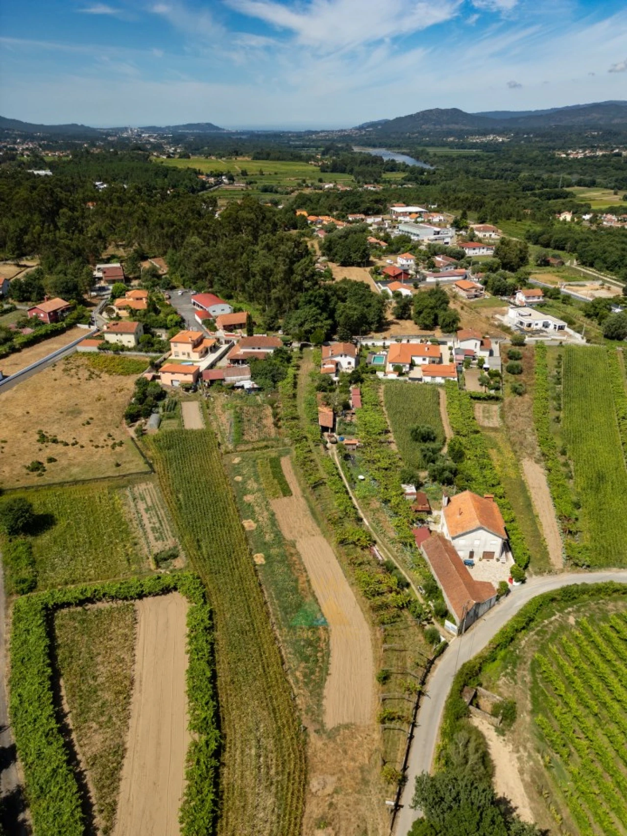 Terreno para Venda em Vitorino das Donas Foto 14