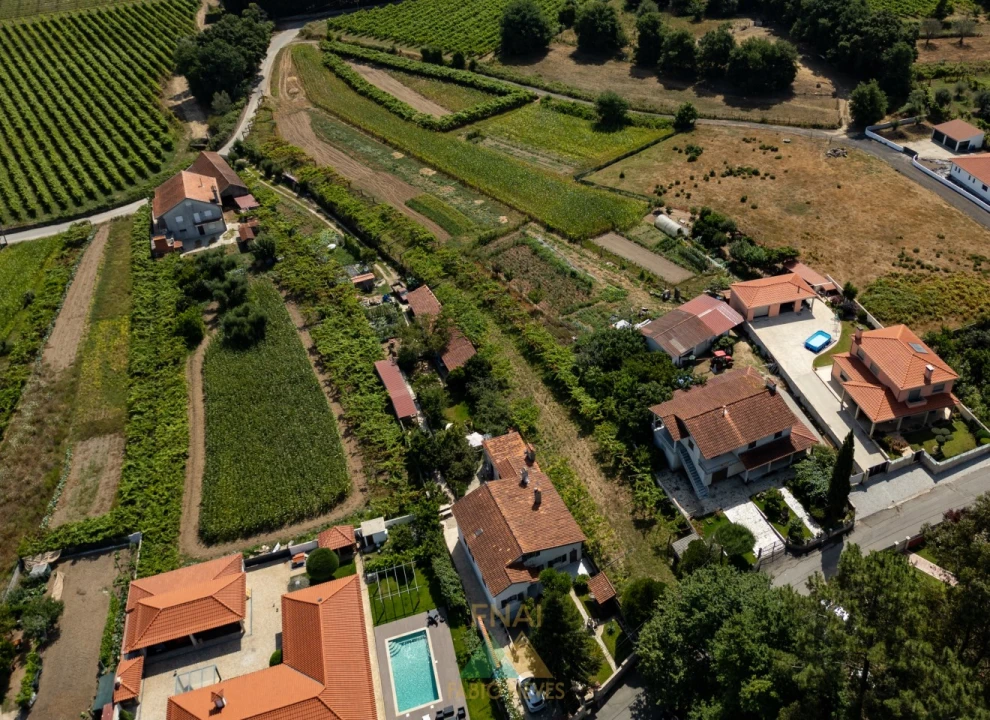 Terreno para Venda em Vitorino das Donas Foto 27